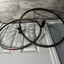 Mavic Cxp Elite Clincher Rims