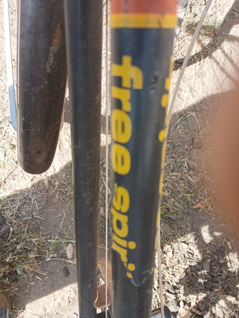Free Spirit Mountain Bike
