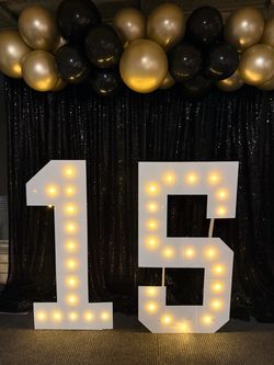 Quince 15 4ft numbered lights