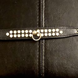 Gold Black Rhinestone Dog Collar