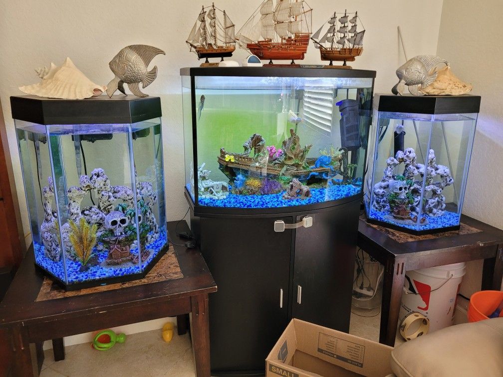 Beautiful Fish Tanks