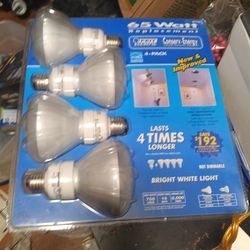 65 Watt Replacement Bulb 4pck