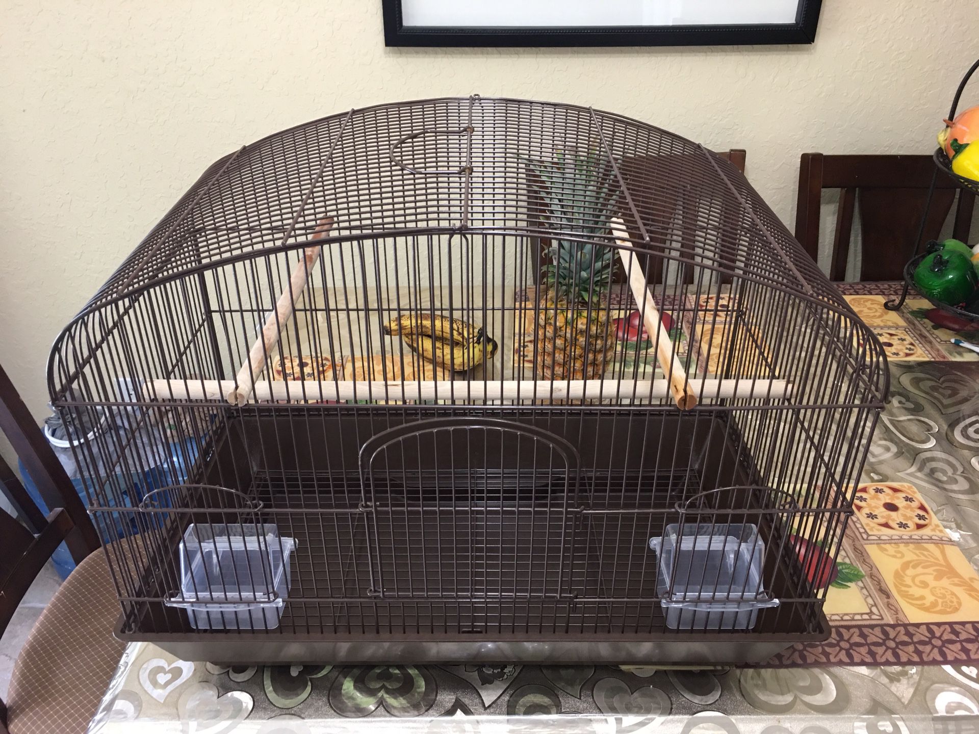 Bird Cage -like NEW