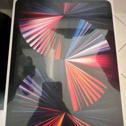 iPad Pro (5 Generation)