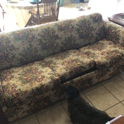 Couch Bed 