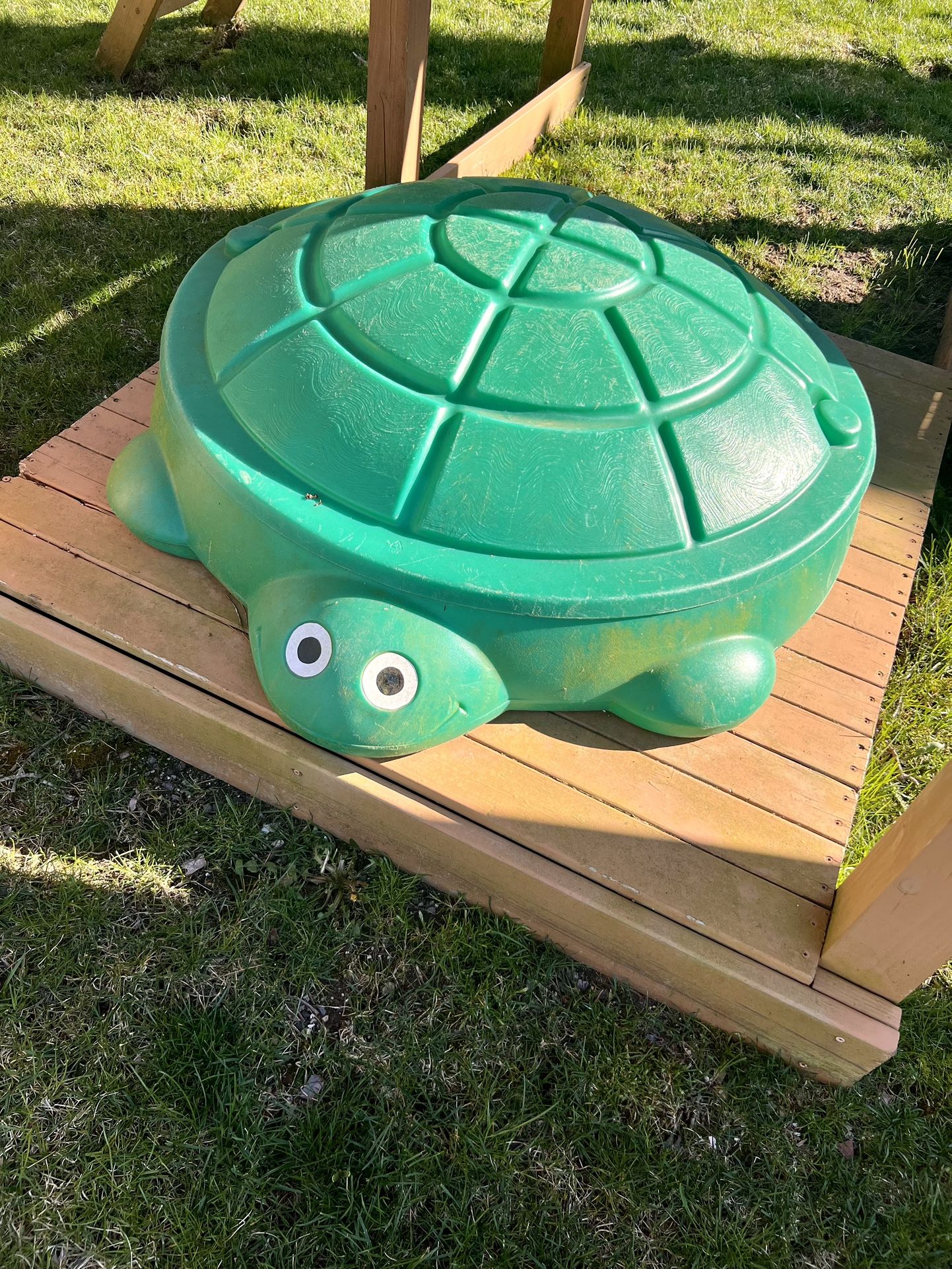 Turtle Sandbox