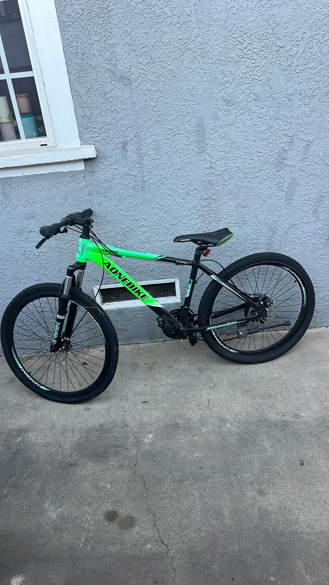 Bicycleta