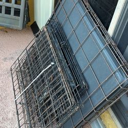Dog Crate 