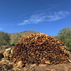 Louis Hot Firewood