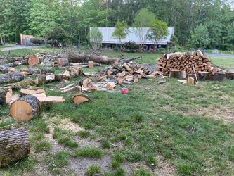 Firewood, maple