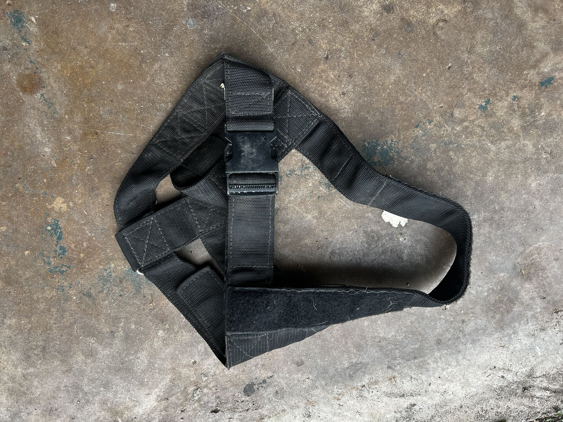 Dog Harness