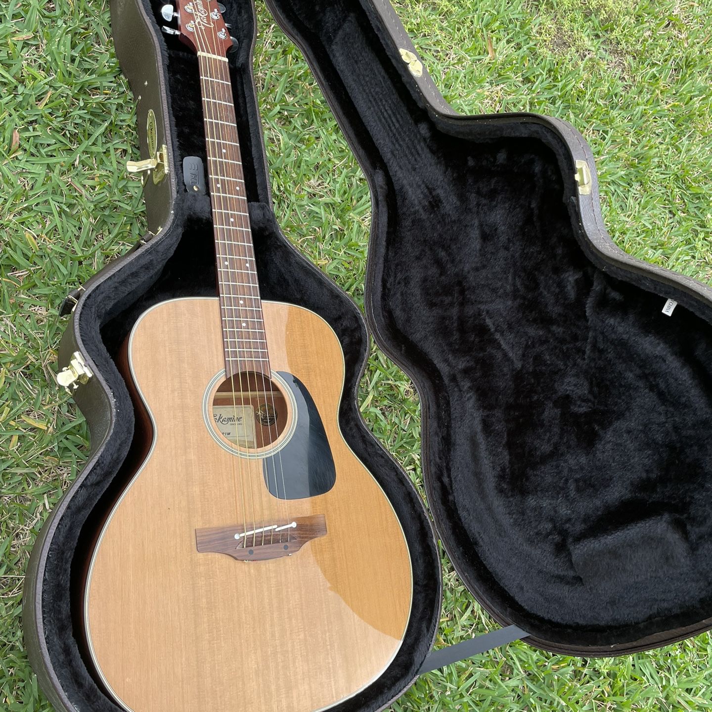 Takamine Pro Series P1 With Case