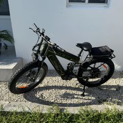 Freesky Electric Bike 