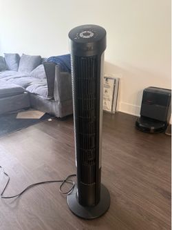 Fan