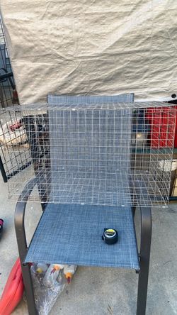 Small animal cage