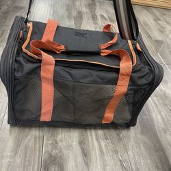 Cat Or Dog Carrier By Sevvis