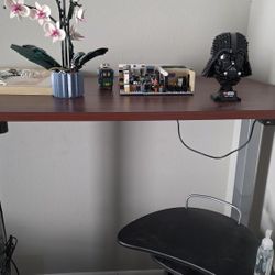 Flexispot Electric Adjustable Desk