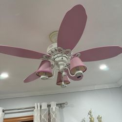 Pink Fan