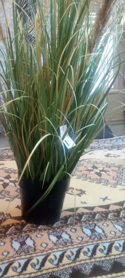 New artificial silk foxtail plants 3 ft 40 each