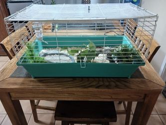 Small Animal Cage. With Food, Sand