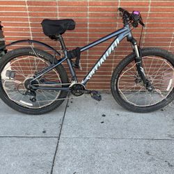 Specialized mountain Bike 