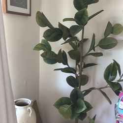 8ft