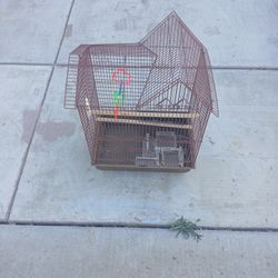 Bird Cage