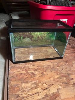 5 Gallon Reptile Tank and more