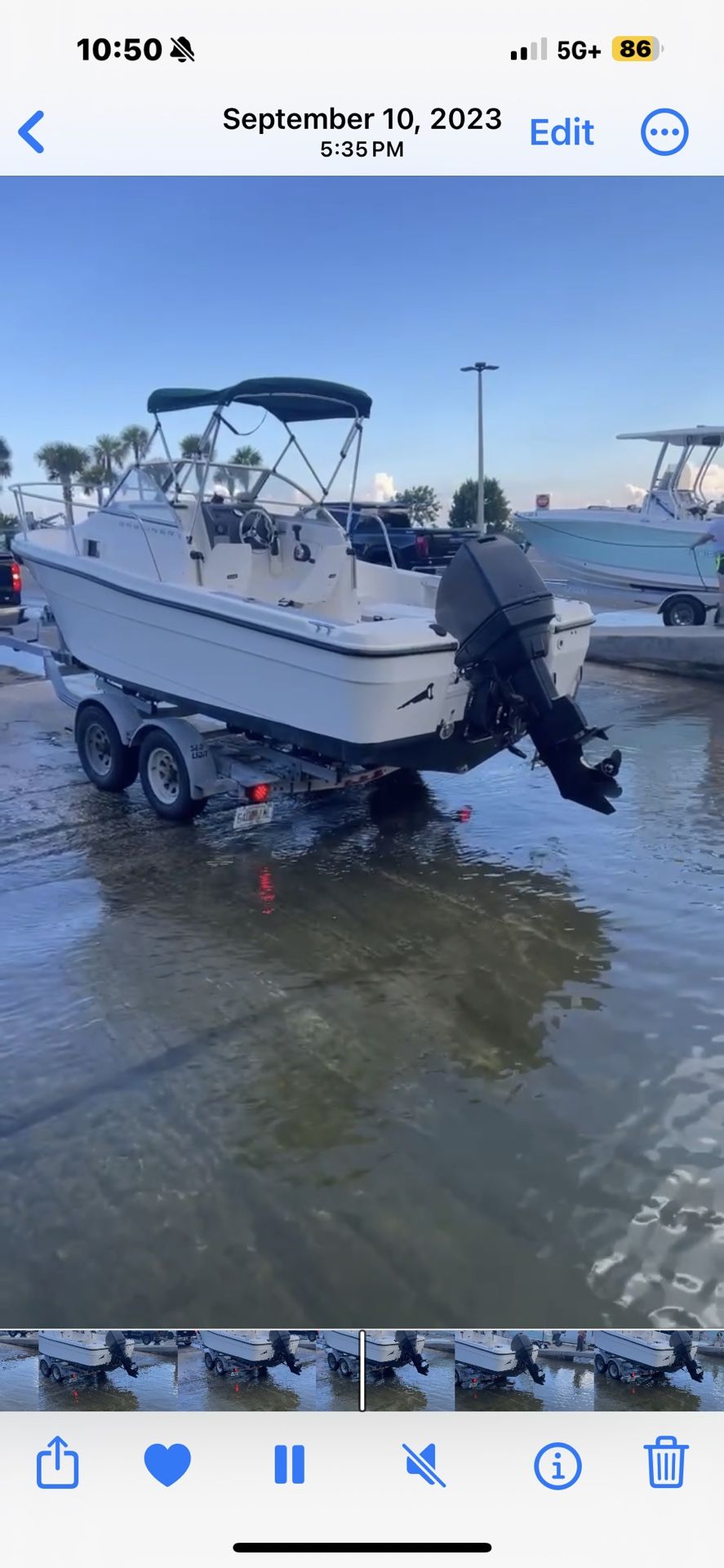 Bay liner Boat 