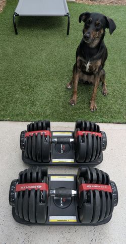 Bowflex SelectTech 552 Adjustable Dumbbells