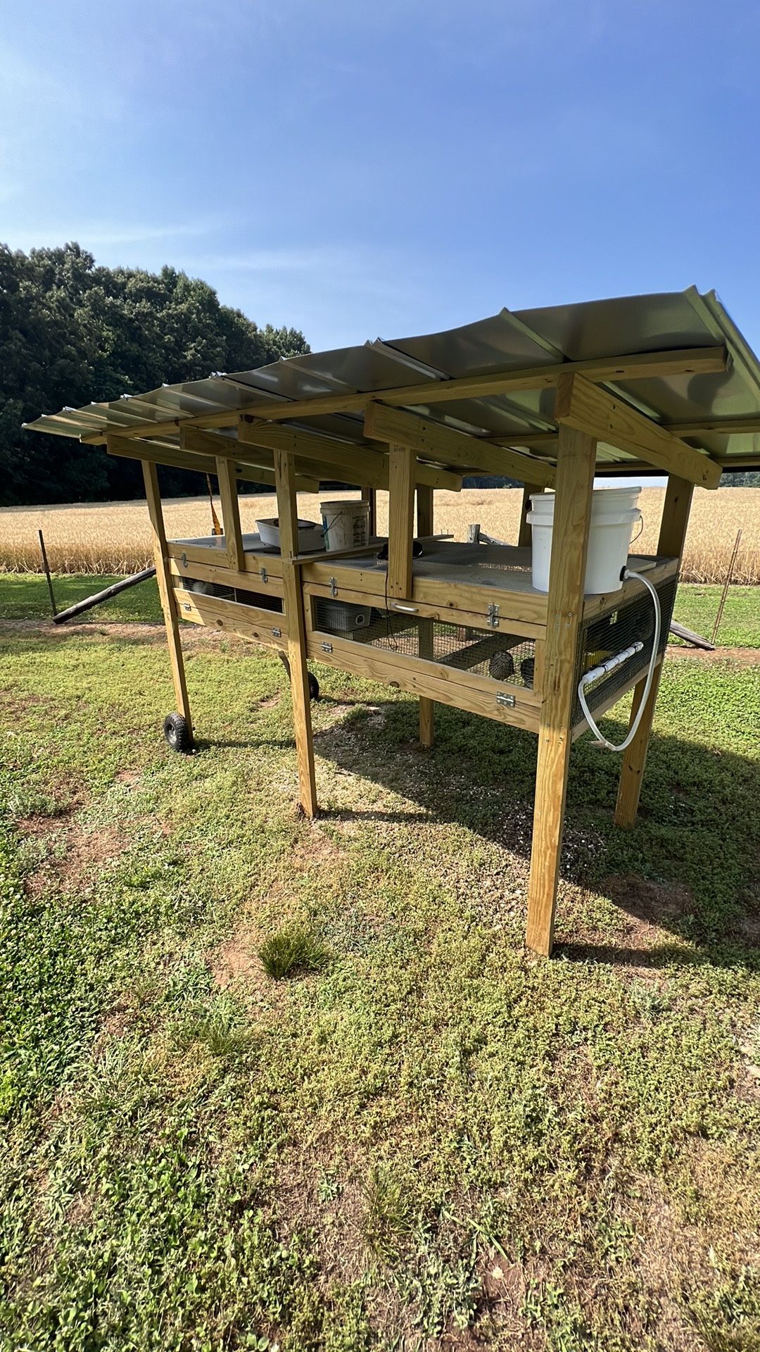 Quail Cage Coop Metal Roof Treated Lumber