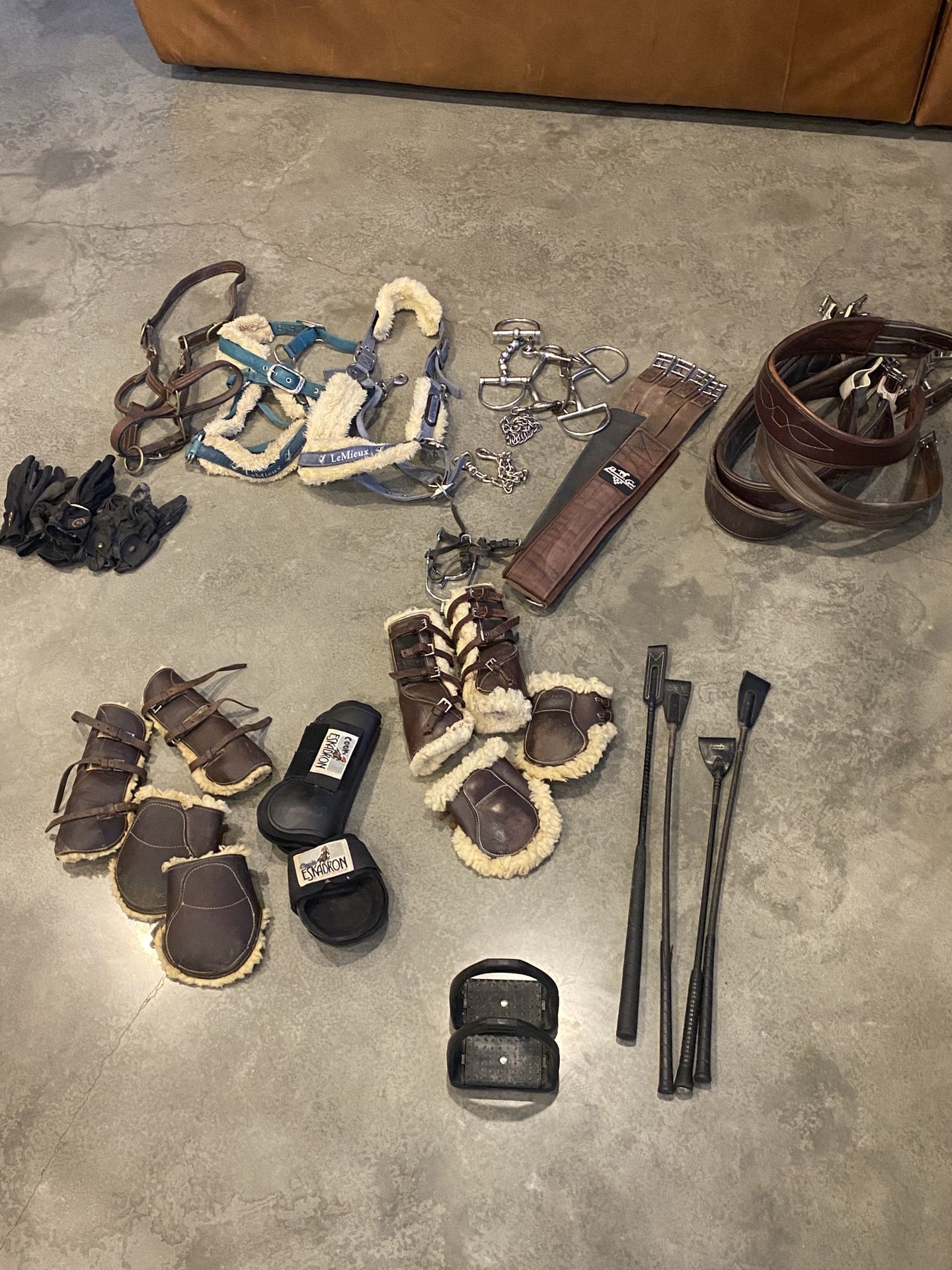 Equestrian Equine Horse Tack