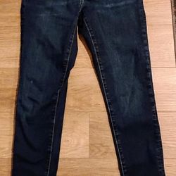 Banana Republic Skinny Sculpt Dark Wash Jean, Size 27/4