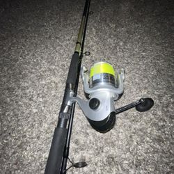 Heavy Duty Sea Lion Combo: Offshore Angler Reel & Rod (by Surf/Pier Fishing)