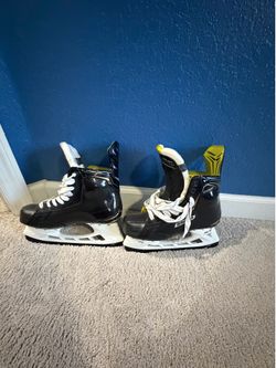 Bauer Hydra Max