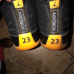 Black University Gold Jordan 12