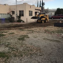 Demo And Grading Services 