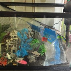 20 Gallon Fish Tank Starter Kit 