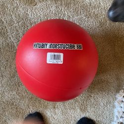 Indestructible Dog Ball 
