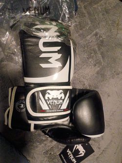 Venum Boxing Gloves