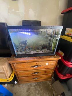 20 gallon fish tank