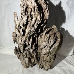 Organic driftwood