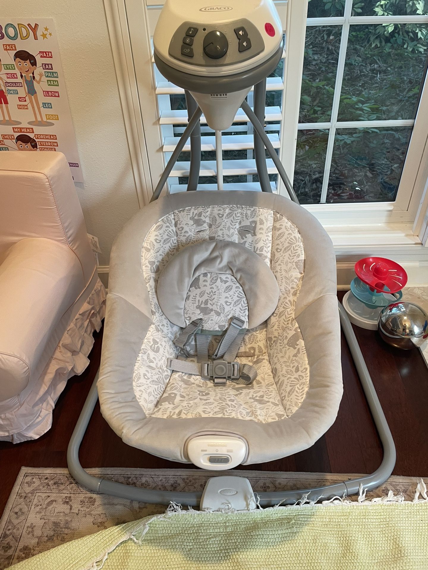 Graco Swing