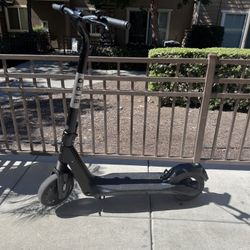 Bird Electric Scooter 