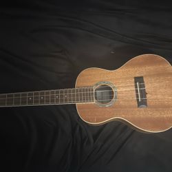15 Cm Cordoba Ukulele 