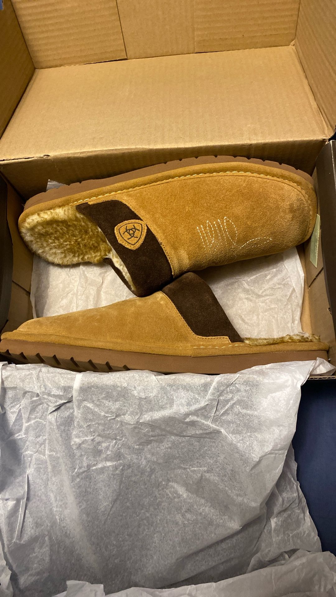 ARIAT slippers