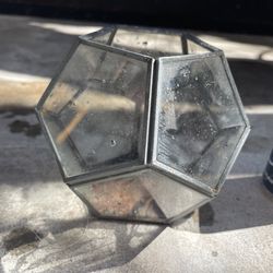 Various glass plant terrariums