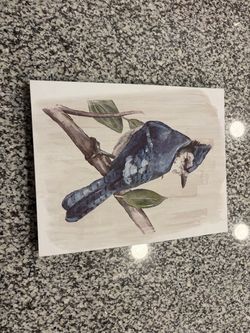 Blue Jay Canvas Wall Art