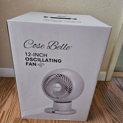 12 Inch Fan