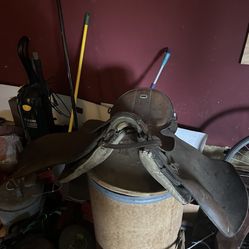 English Saddle 